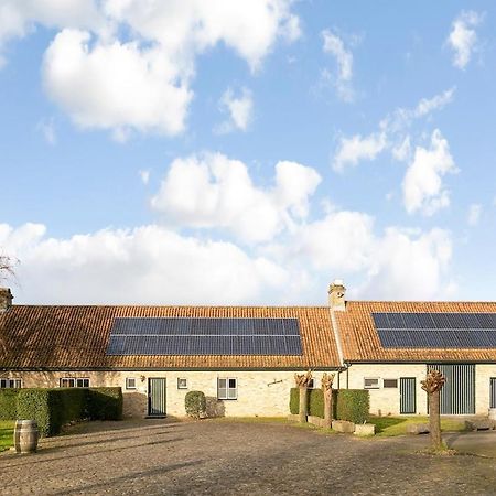 Villa 'T Korenhof - Landelijk Gelegen Villa Op 4 Km Van Het Strand コクセッド エクステリア 写真